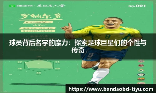 BOB半岛官方网站