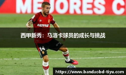 BOB半岛官方