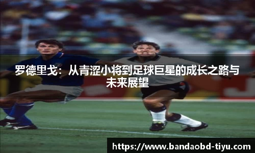 BOB半岛官方